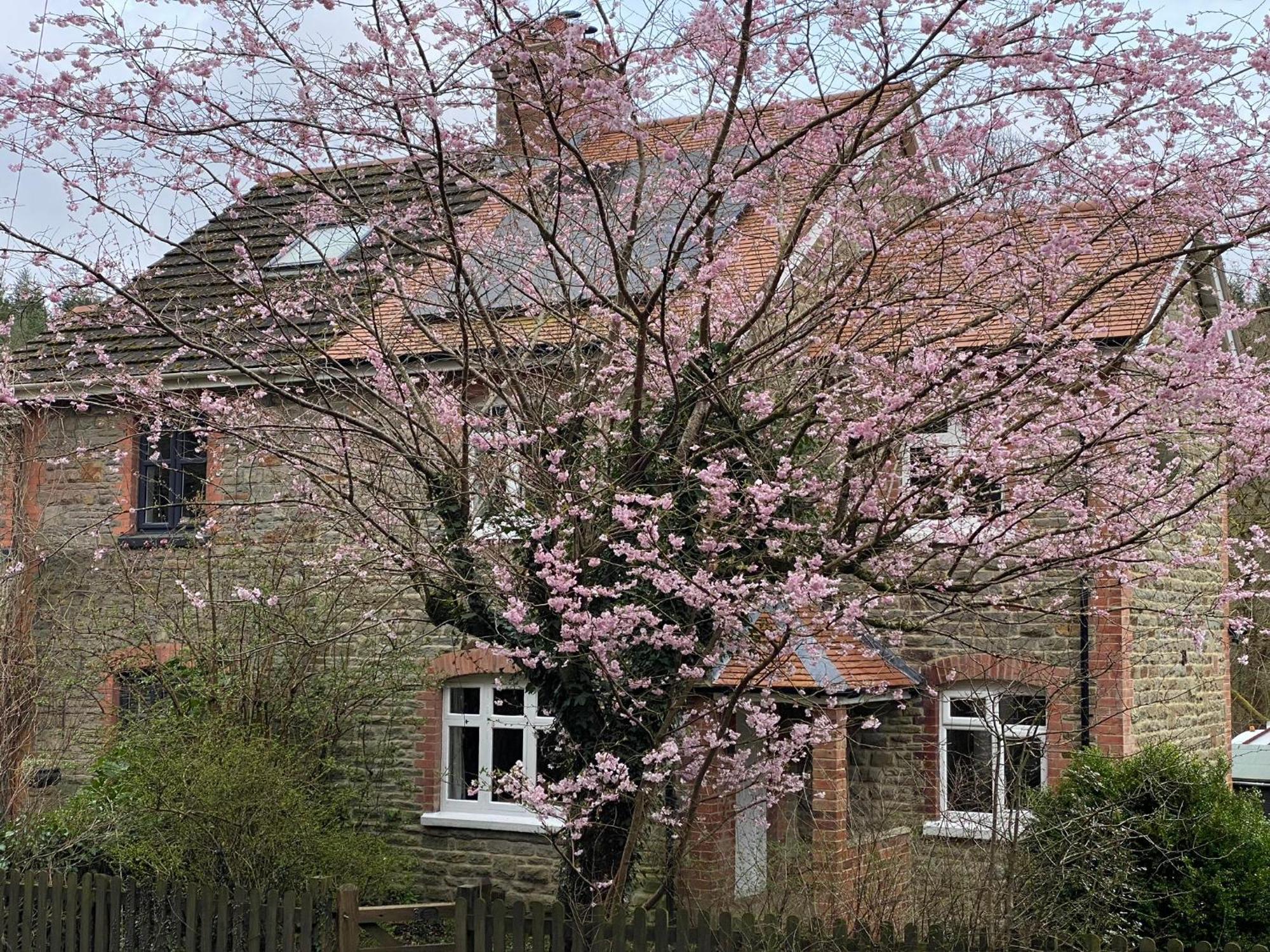 Willow Cottage Longney エクステリア 写真